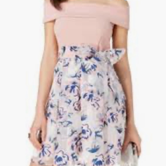 Blush and Navy Floral Dress - Picture 1 of 1